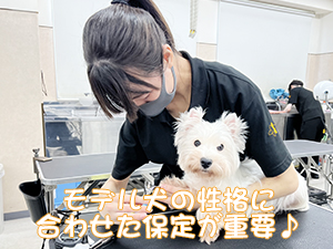 １年生のトリミング実習♪